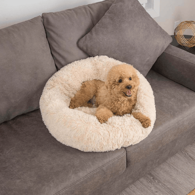 Coussin pour chien anti-stress