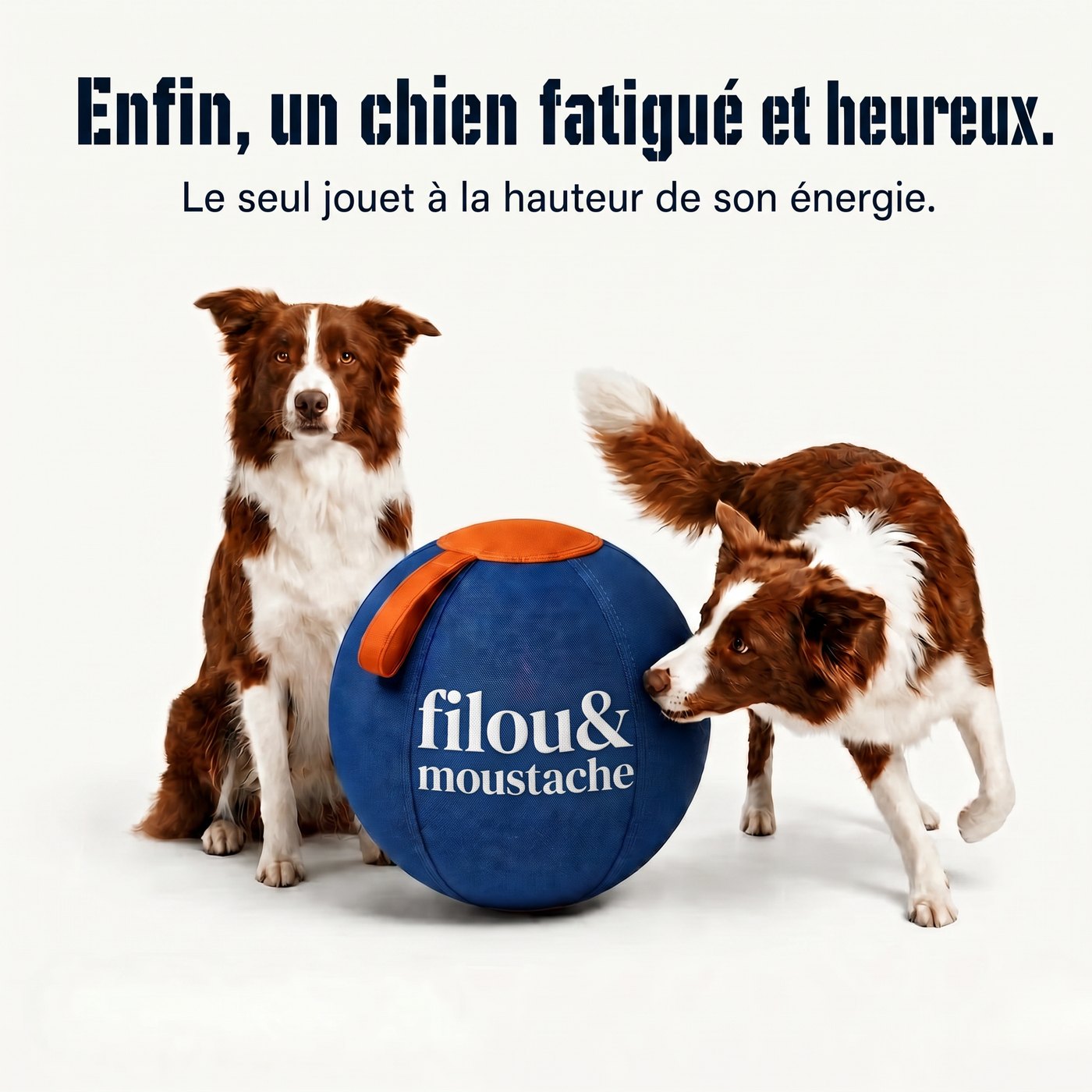 Balle géante indestructible Filou & Moustache
