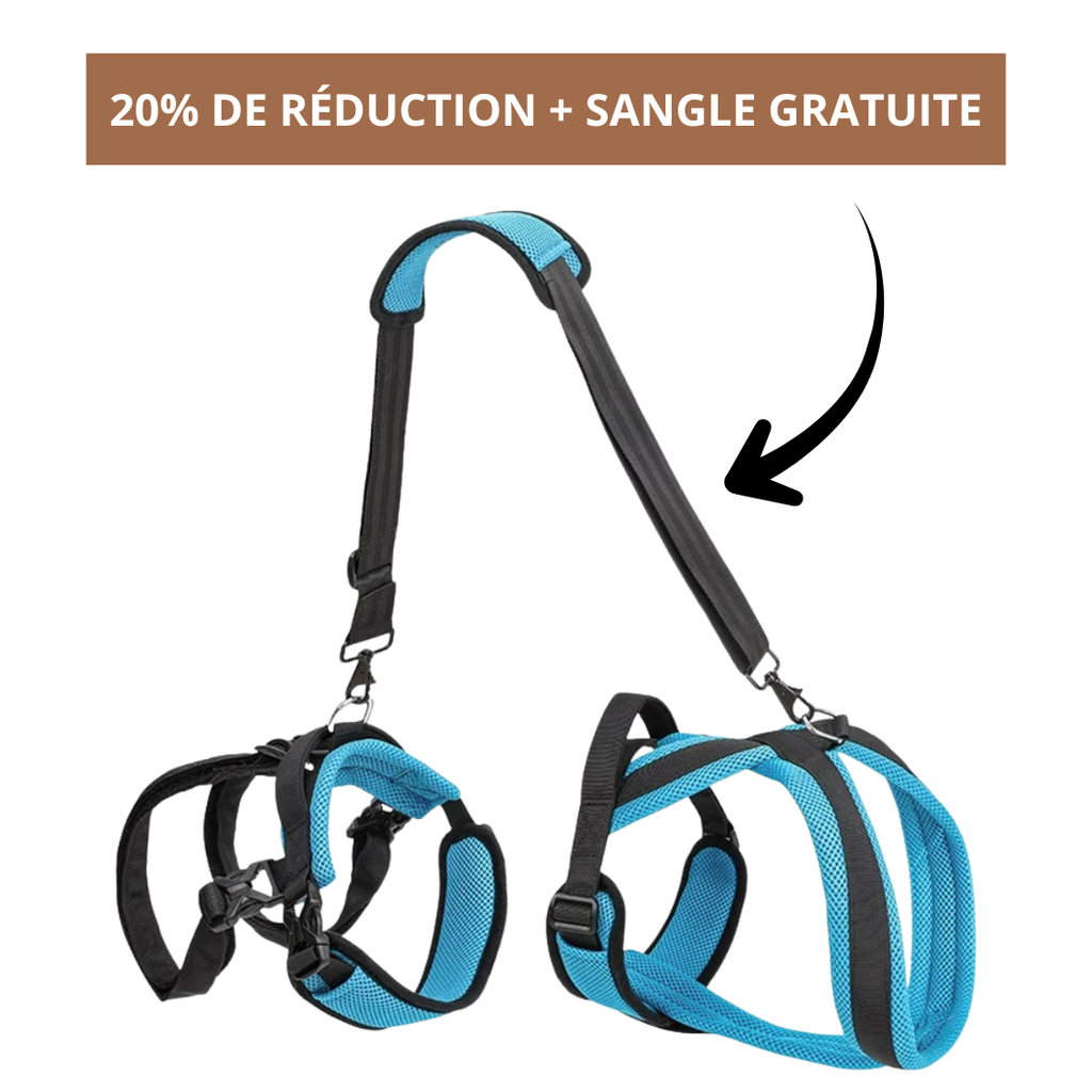 Harnais de mobilité pour chien